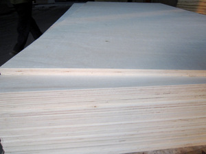 Poplar Plywood