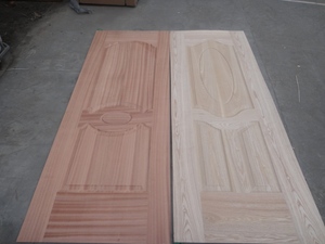 Door skin